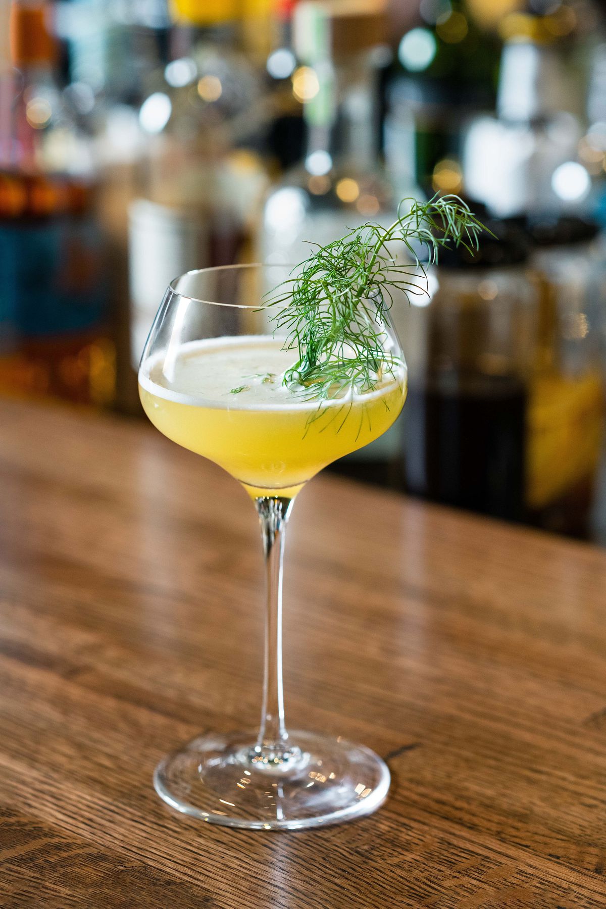 A yellow cocktail with a fresh anise frond garnish. 