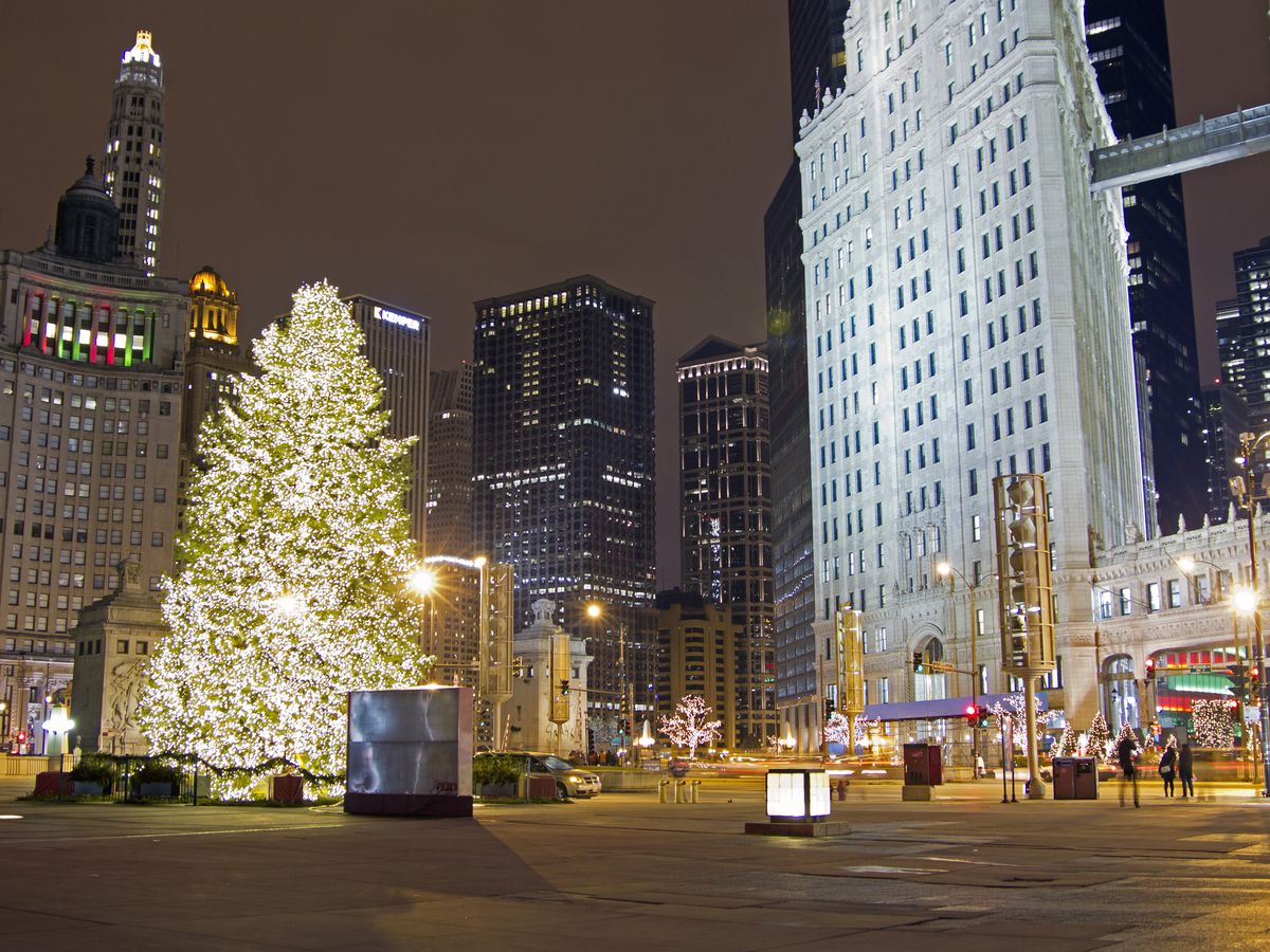A huge Christmas tree covered in lights in Downtown Chicago.